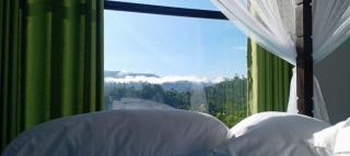 Rainforest Hide View - 9