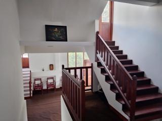 Lush Home - 2