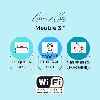 Calm & Cosy, magnifique T1 proche CHU - 9