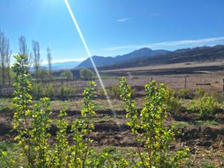 Miyar Farmhouse - 5