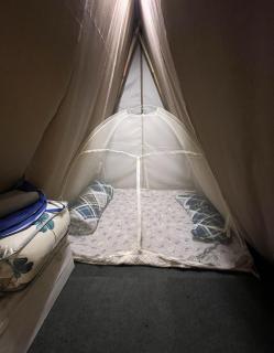 Canopy Haven - 1