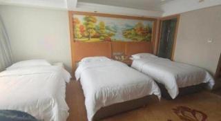 Vienna Hotel Guangxi Guilin Yongfu Station - 3