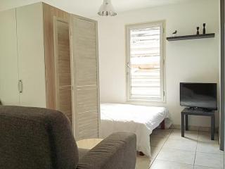 La foret dans la ville! Saint Pierre 97410 - 1