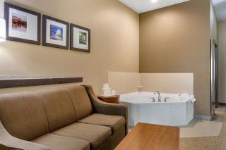 Comfort Suites Jonesboro University Area - 3