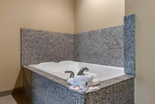 Comfort Suites Biloxi/Ocean Springs - 4