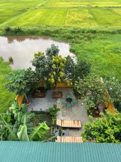 Phong Nha Banana's Homestay - 6