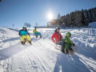 Scenic Stay in Feriendorf Wildschönau Chalet - 3