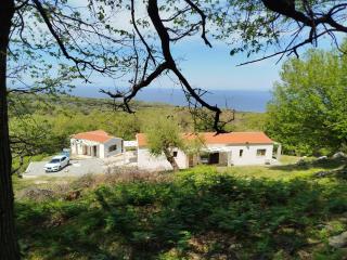 Forest and Sea view villas - 9