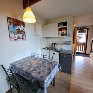 Bernex, appartement T2 pied des pistes, balcon, parking - 8