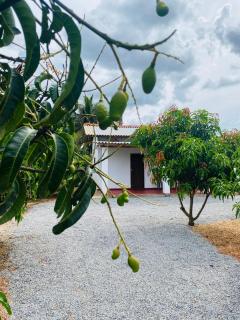 Lakeside Holiday resort - 4