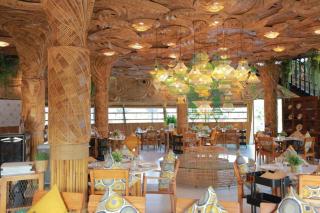 The Buffalo Amphawa - 7