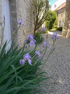 Le petit chez soi - my sweet home in Gevrey-Chambertin - 7