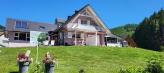Gîte L'Ecrin du Sternsee - 8