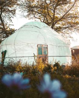 Almaluu Garden Yurt Resort - 2