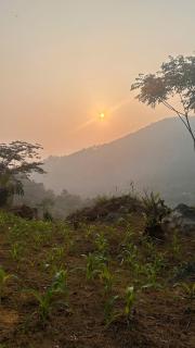 Song Ban Mountain Homestay - 1