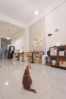 Ri Yue Homestay - 9