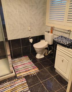 Dog friendly accommodation - 5
