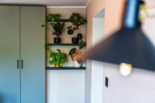 Grobla Nest - 6
