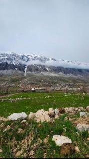 مزرعة روان - 4