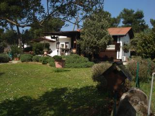 Holiday Home Julia - 3