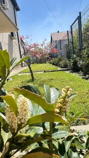 Villa Garden - 5