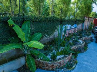 Zondela House - 8