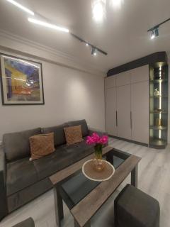 Yerevan centre Apartment - 5