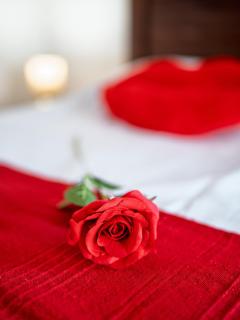 Love Room Secrets Partages - 4