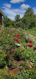 The Cottage at Heritage House - 2