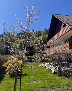 Menzenschwand Schwarzwald Geißentalblick mit Balkon und Infrarot, Ruhe und Natur - 0