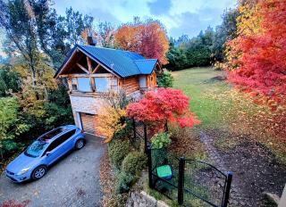 Blue Bird House - 9
