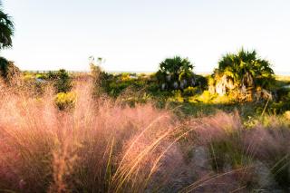 Beach Haven at WindMark by Pristine Properties Vacation Rentals - Highland View - 9