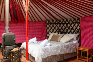 Chester Yurts Retreats - 3