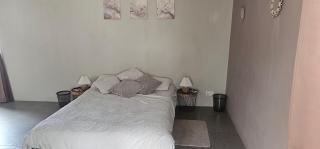 Spacious 100 sqm 1 Bedroom flat in Port Louis - 3