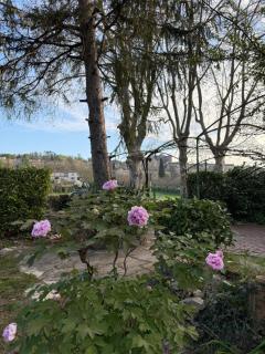 Maison dans grand parc au pied du village - 8