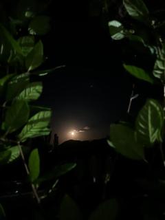 Miyar Farmhouse - 4