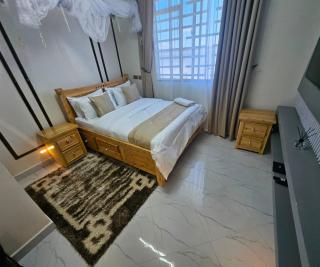 Kate Apartment in Dodoma, A Home of Comfort! - 4