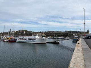 Prés du port - 4