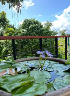Jungle House Phuket - Seaview Retreat - 3