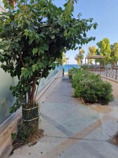 Lovely place by the beach of Limassol - 3
