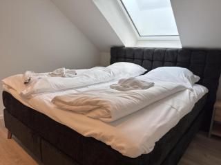 Haus Deichlust Wohnung 3 - 3