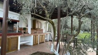 OlympPlace Olive House-Ground floor - Leptokarya - 5