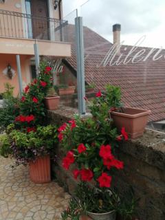 B&B Villa Milena - 8