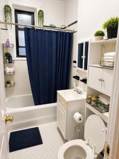 Stylish Private BR Near Manhattan - Astoria NYC - 1