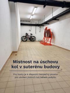 Apartmány Třeboň BÍLÝ BERÁNEK - Třeboň - 8