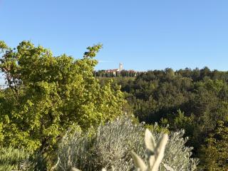 Santa Lucia App - 9