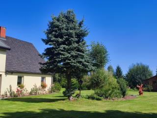 Agroturystyka Pod Leszczyną - 4
