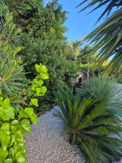 La Villa Blanche - 1