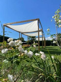Giardino con piscina per feste ed eventi - 3