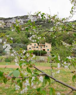 Agriturismo Alveare - 0